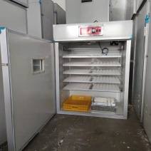 山东孵化设备 推动养殖业高效发展的关键利器
