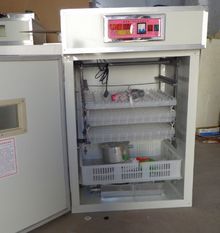 山西孵化设备市场解析 朔州孵化箱与大同孵蛋设备的价格与选择