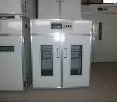 德州鸭子孵化设备价格与最新供应全解析——特惠批发与品牌供应商推荐