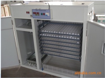 辽阳与鞍山高效孵化设备选购指南——德州吉祥孵化设备厂为您保驾护航