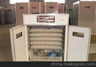 供应抚州 赣州市孵化机 全自动孵图片,供应抚州 赣州市孵化机 全自动孵图片大全,德州吉祥孵化设备厂-