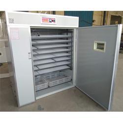 孵化器与裕昌孵化设备 打造高效孵化的关键工具