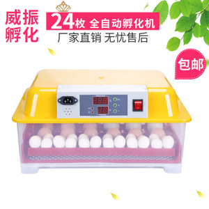 推动养殖现代化 鸡孵化设备的创新与市场机遇