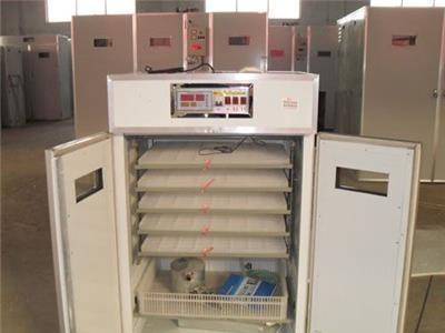 三黄鸡孵化设备选购与使用指南 孵化机、孵化器、孵化箱全解析