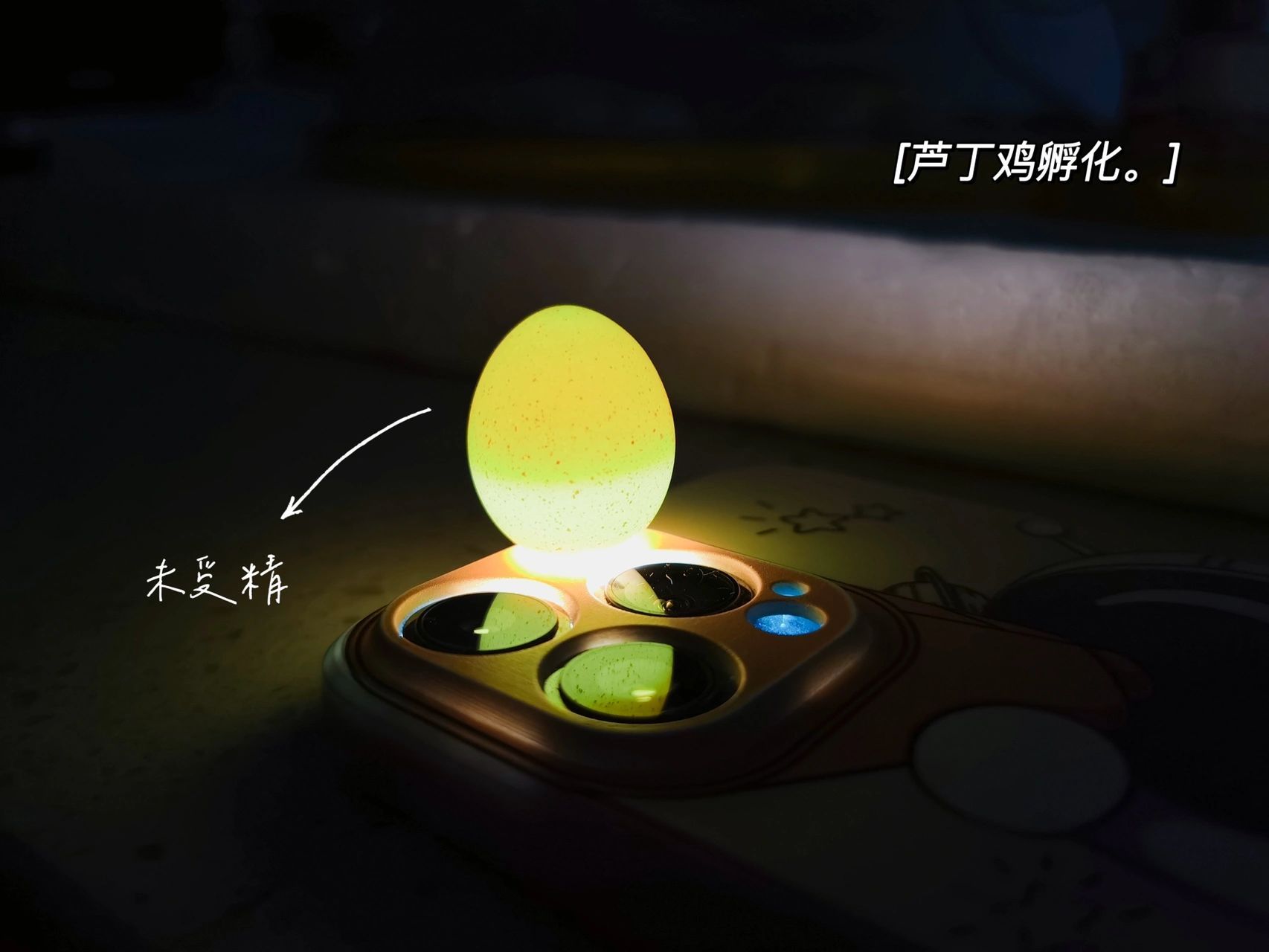 芦丁鸡孵化第五天 第一次照蛋辨别受精蛋，感受生命奇迹